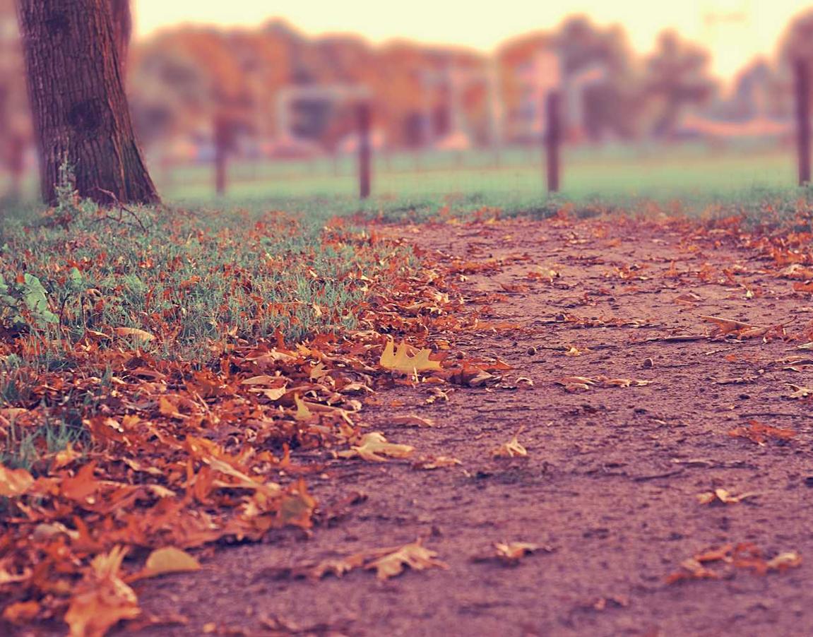 虎牙实名账号：流量卡是否提供二维码？