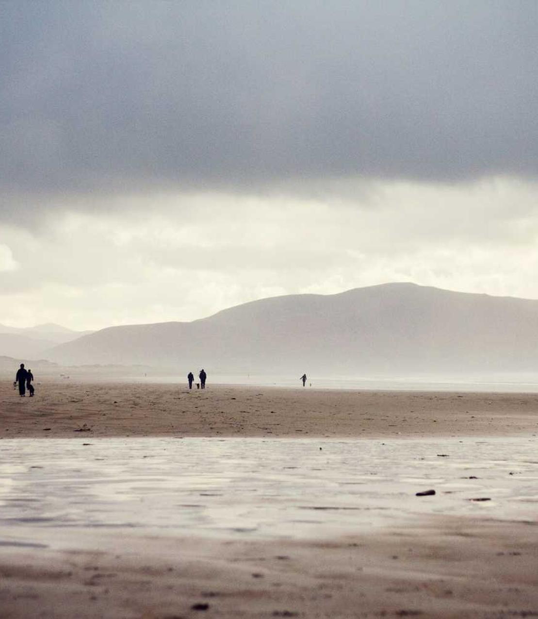 商业策划：精打细算，一步抢占市场先机