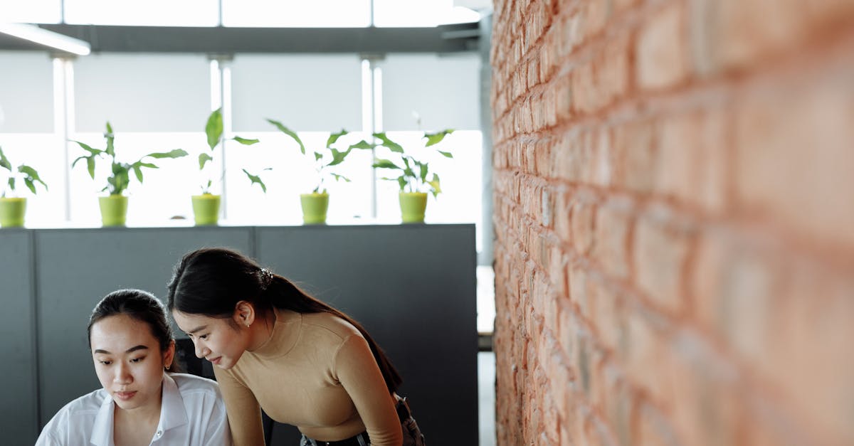 DDOS网页端平台|naike购买平台