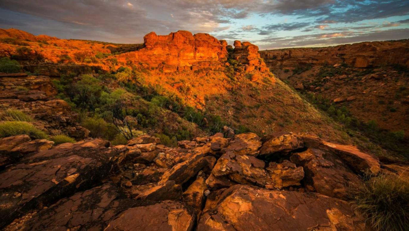 DDOS网页端|龙湾办理代理记账平台