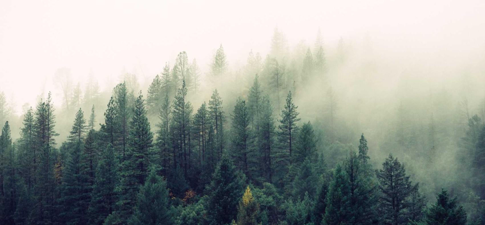 长城移动实名账号：实名制会不会影响商业竞争力？