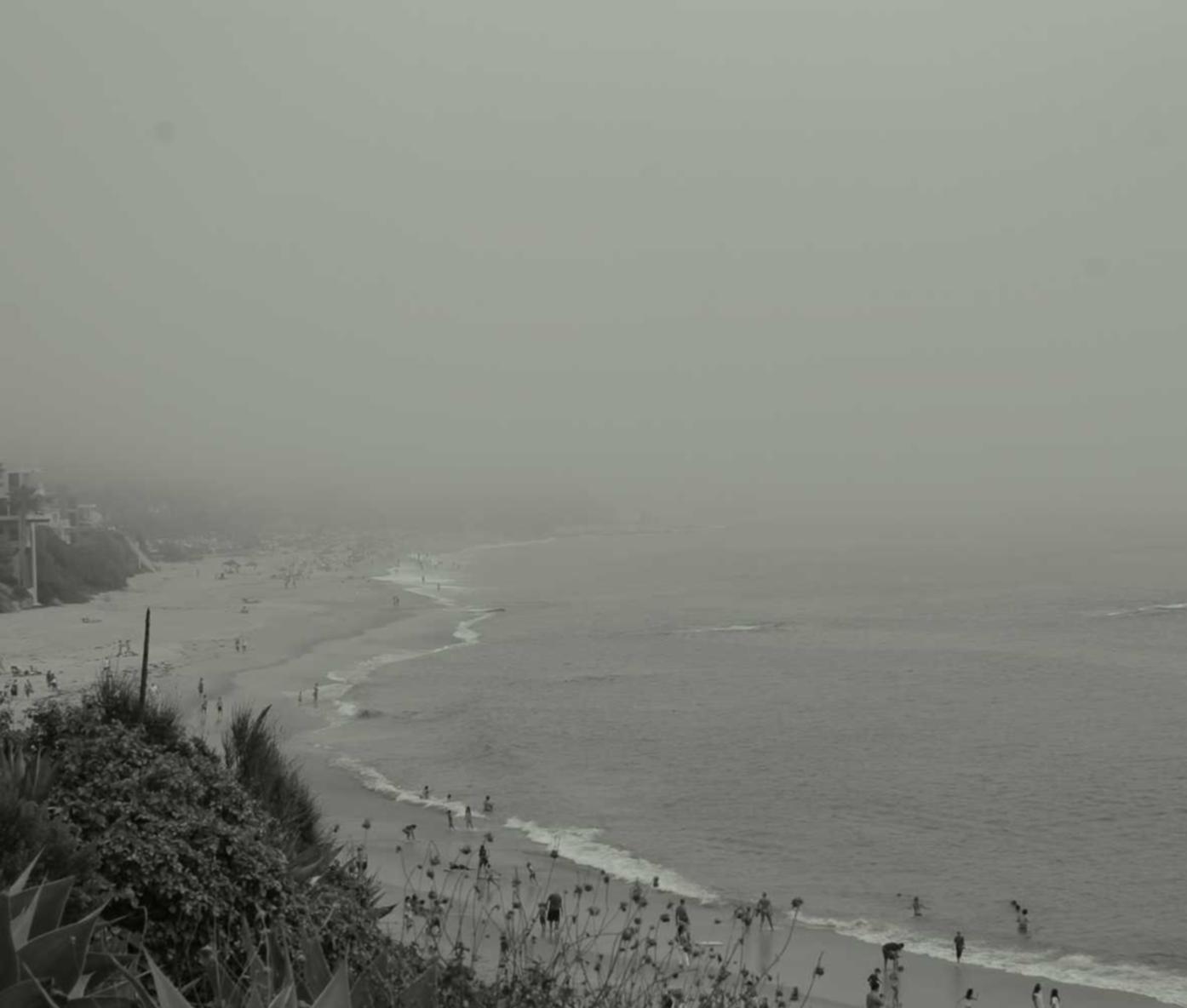 芒果星芒卡实名账号：注册代理记账服务价格