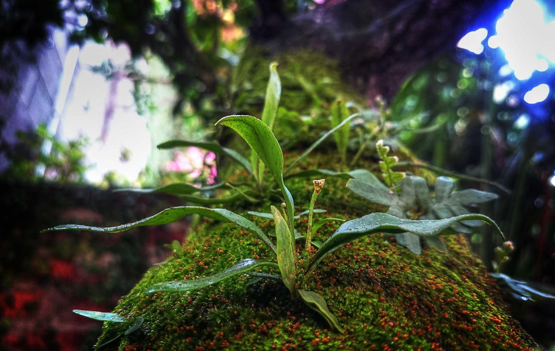 无极荣耀，注册|招商信用app官方详情下载教程