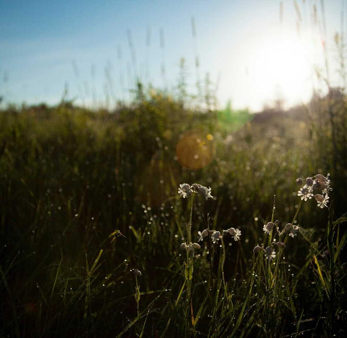DDOS在线攻击平台|易课app详情下载教程地址