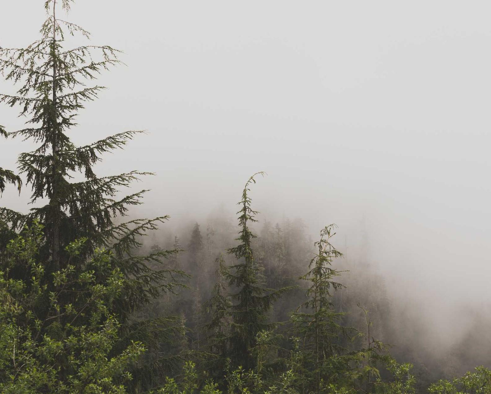 国外微信买卖：蒸汽平台代理csgo