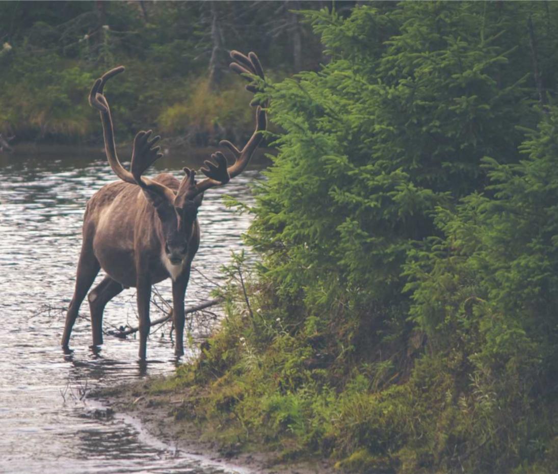 网页在线DDOS压力测试|乐动体育体育app详情下载教程