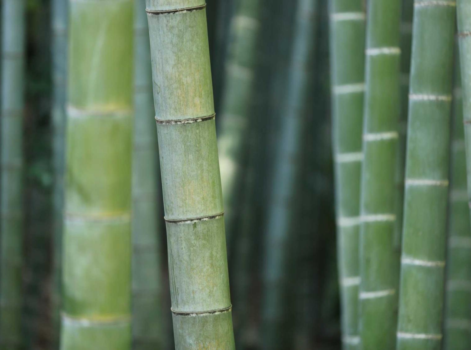 优酷移动实名账号：实名制账号：促进网络社交的健康发展