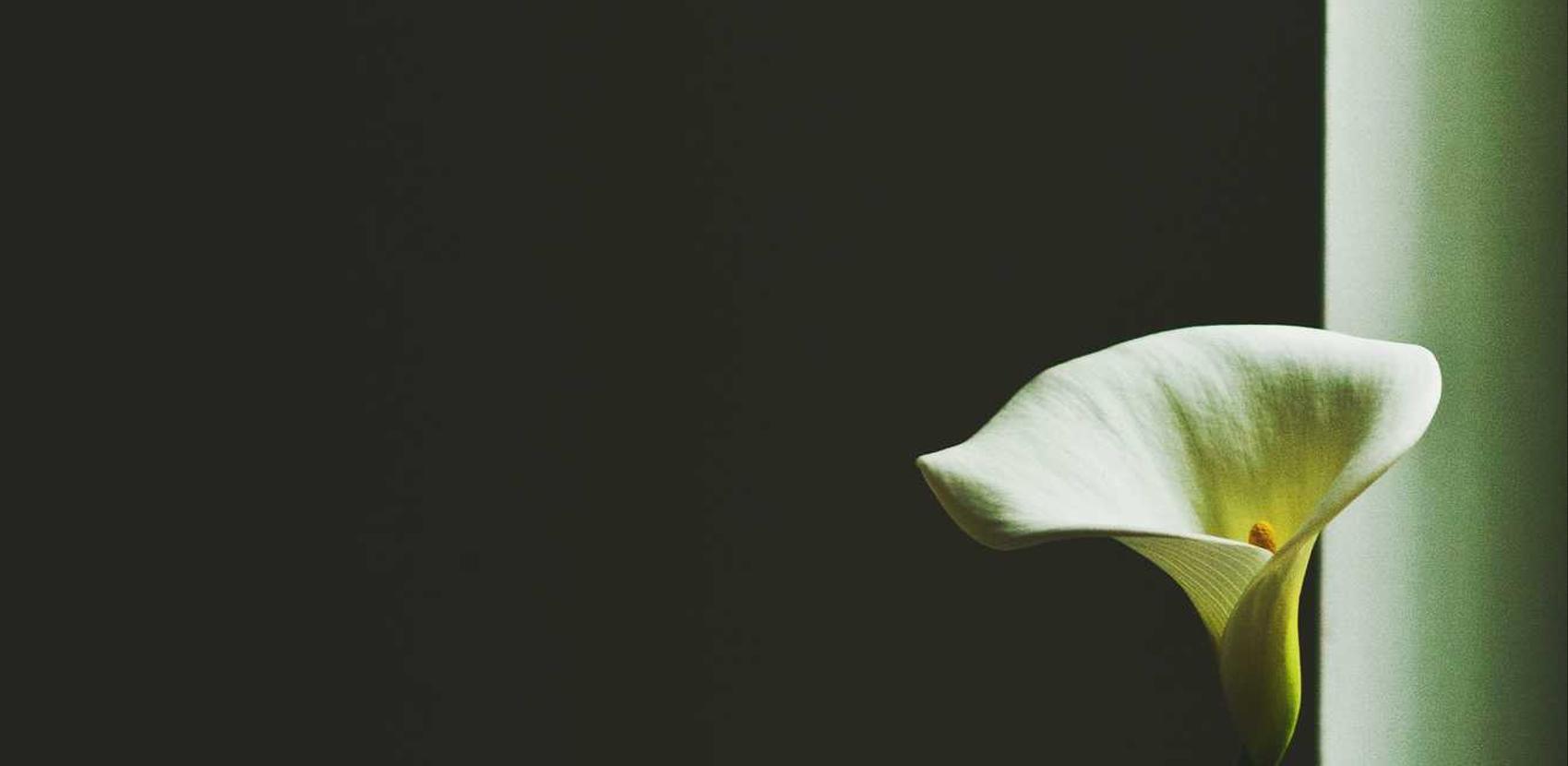 在线DDOS平台攻击|ipad购买推荐平台