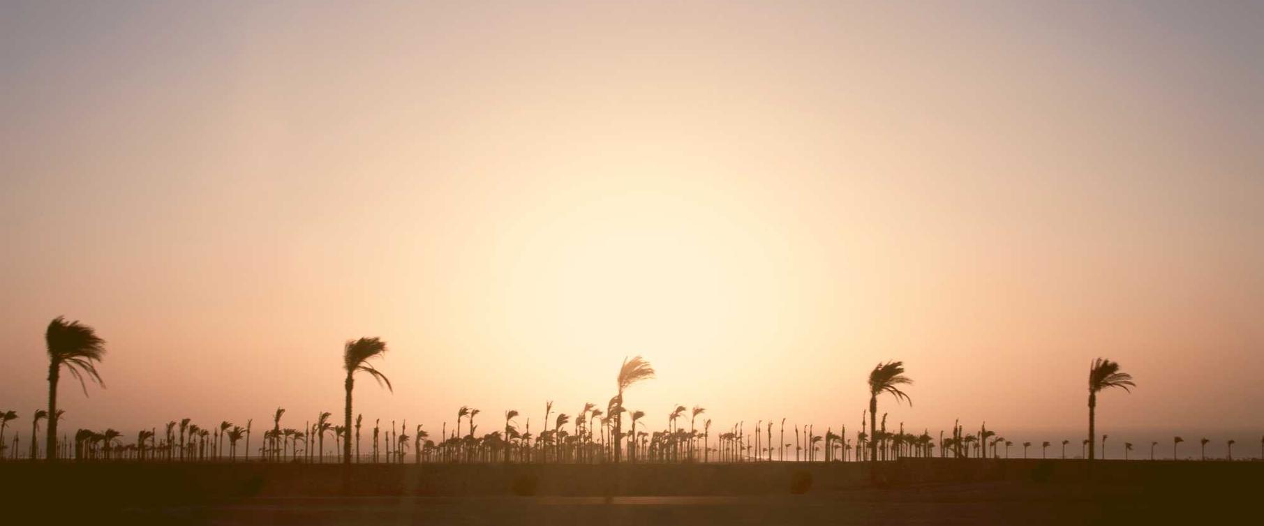 欧盟好彩蓝莓双爆珠：lotro美服账号注册