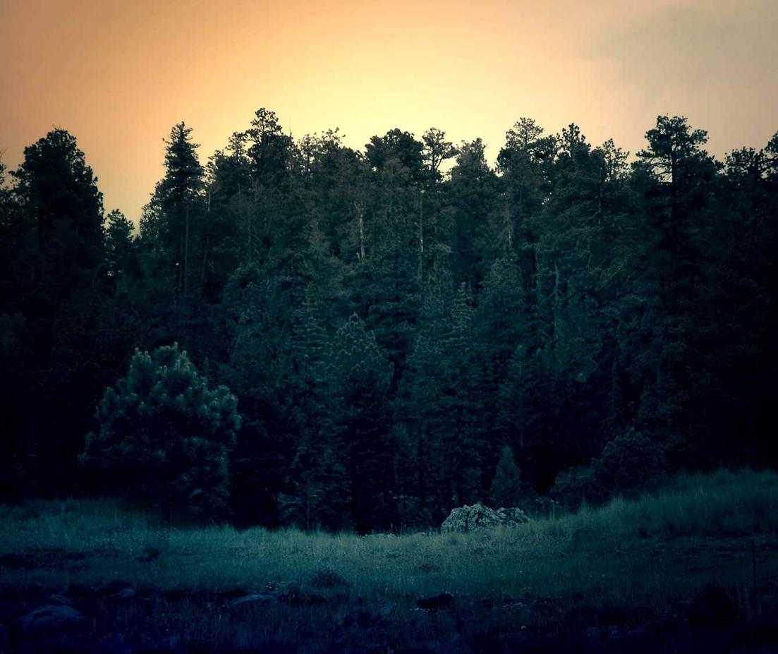 如何用SEO来优化商务网站