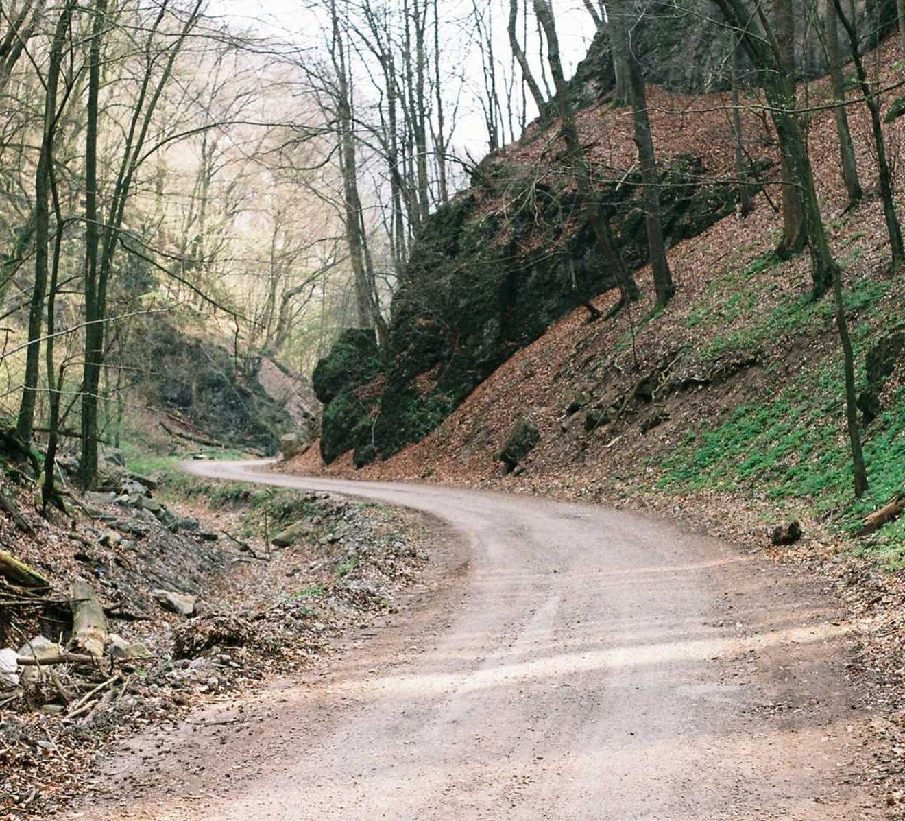 羽林平台云南好的代理公司注册代理