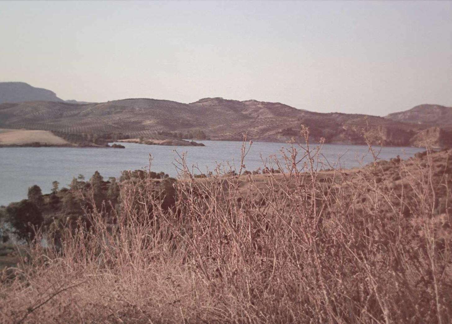 京东通信实名账号：小米账号注册邮箱