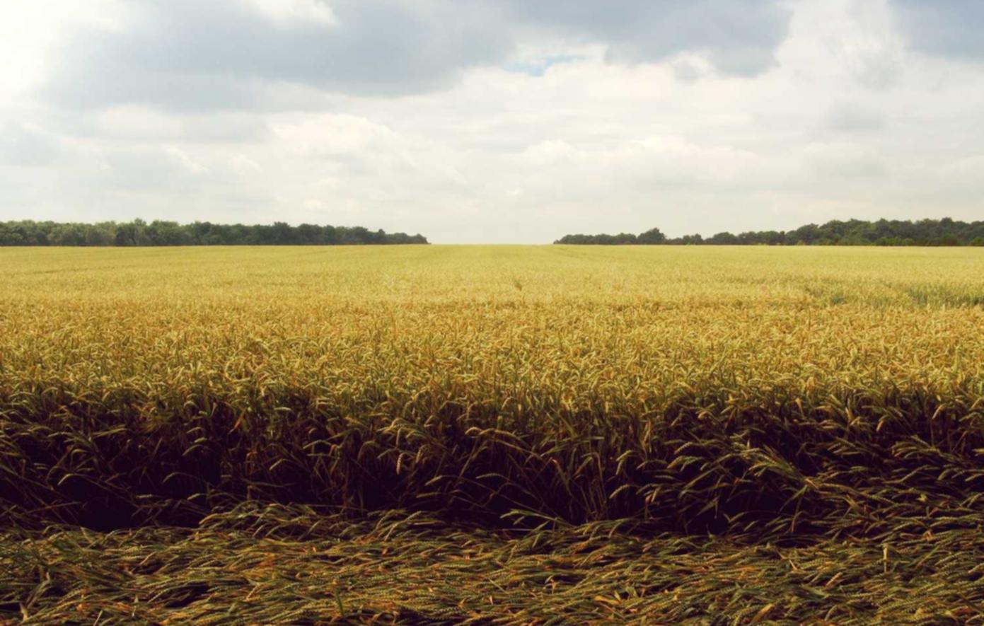 匿名号码卡批发:杭州注册代理记账公司条件