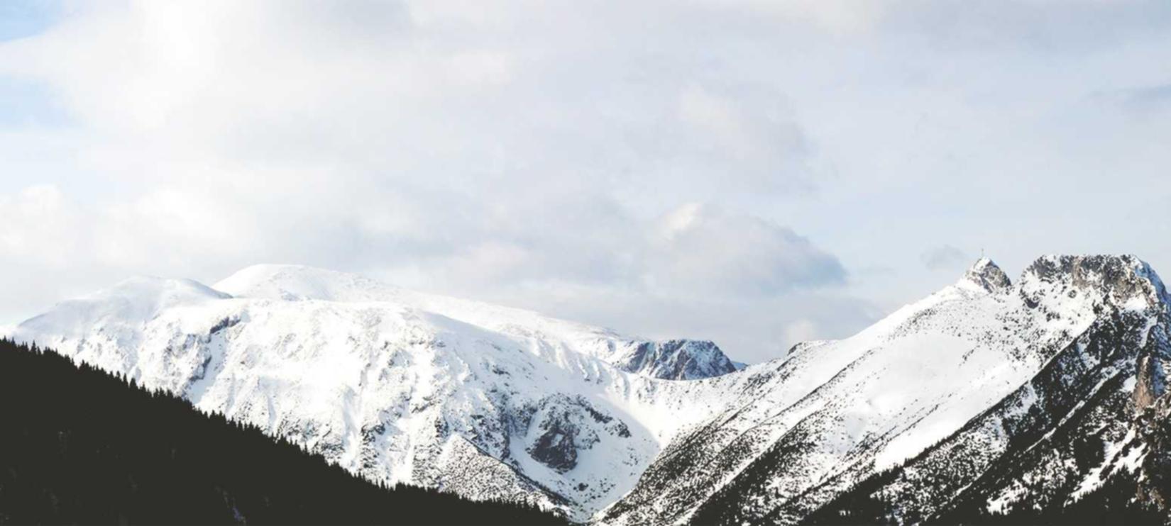 微信出售：购买带鱼平台