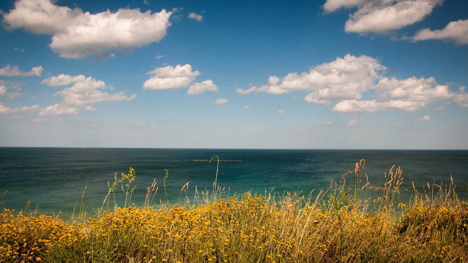 临海申请工商代理注册