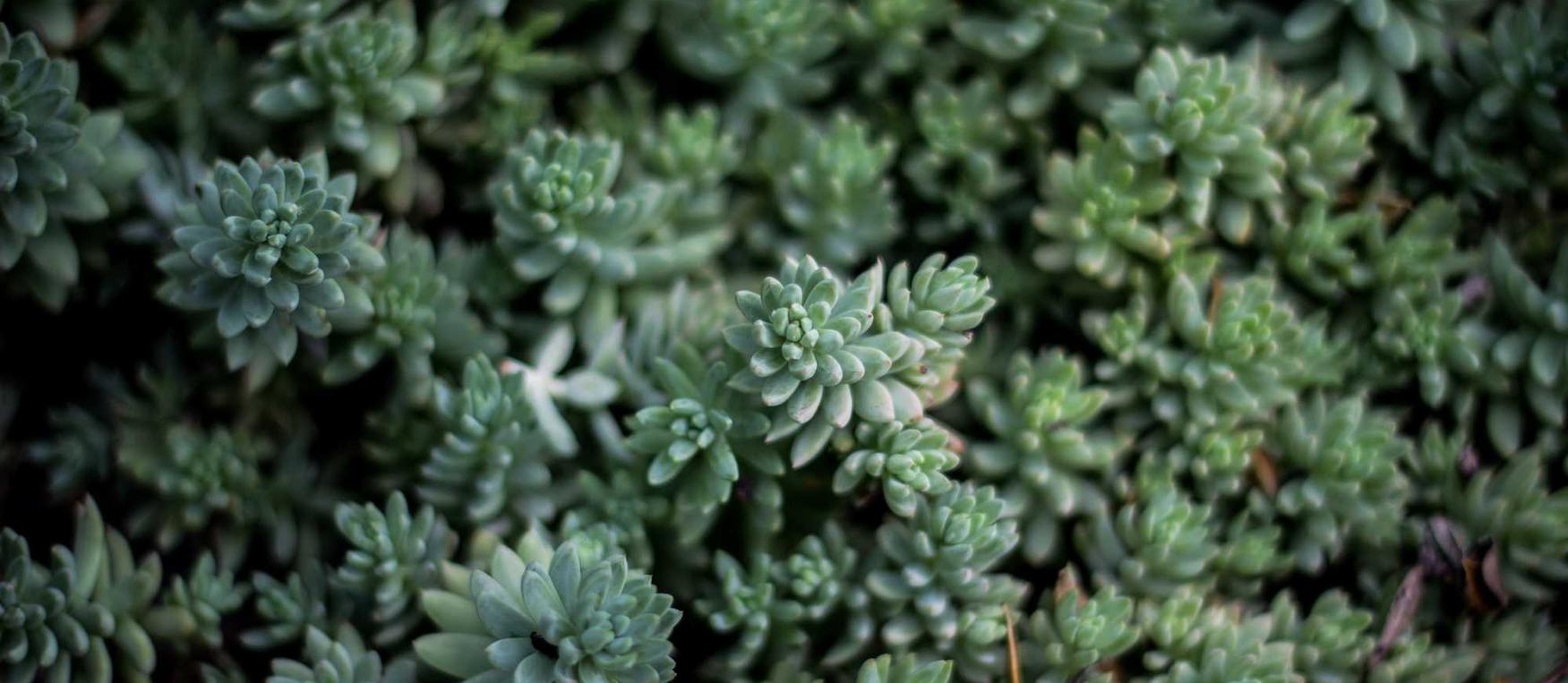 DDOS在线攻击|如何管理和监控黑客的实时活动