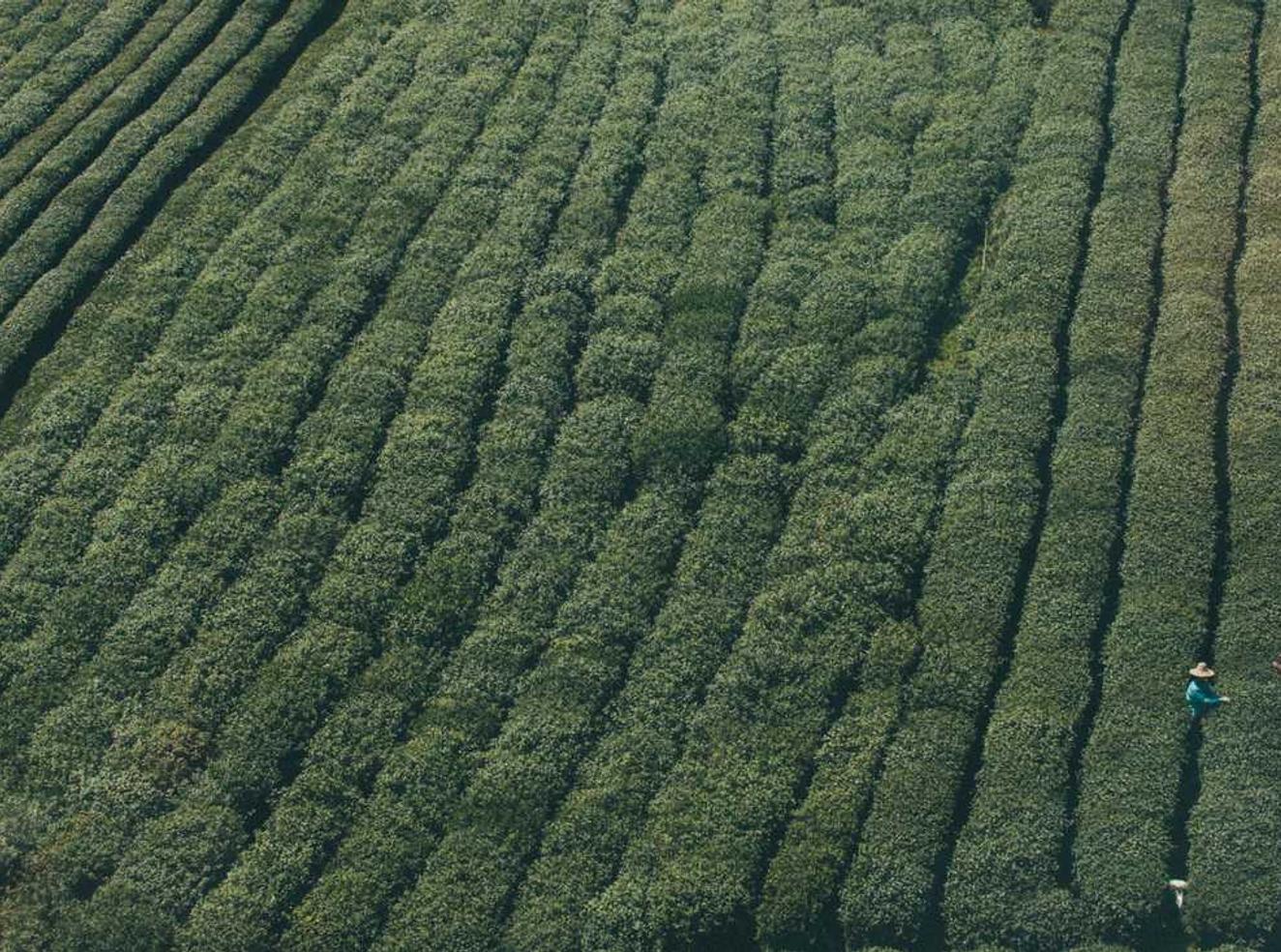 可乐如何利用内容营销吸引目标客户