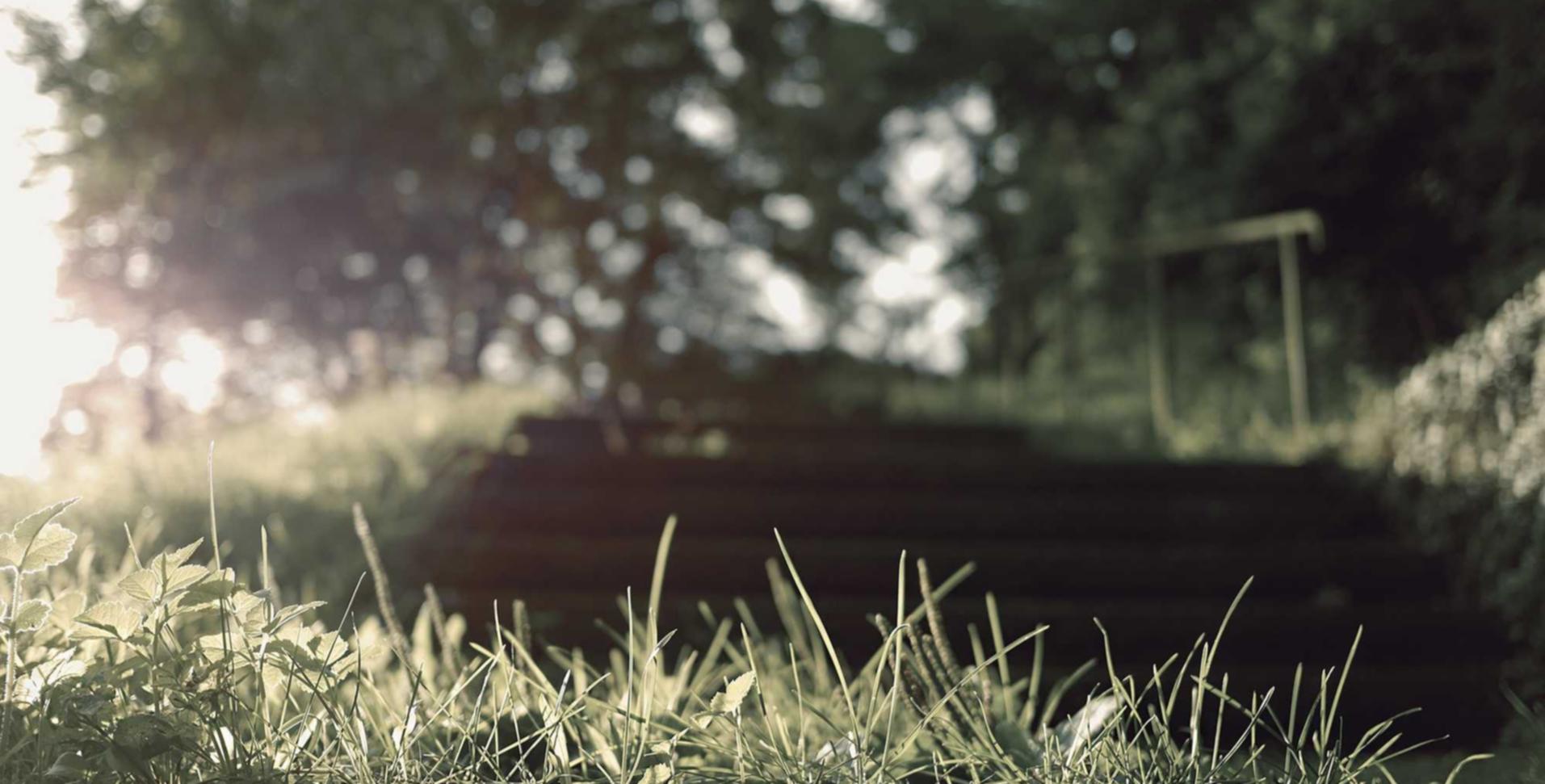 国外微信号：环球网官方账号注册