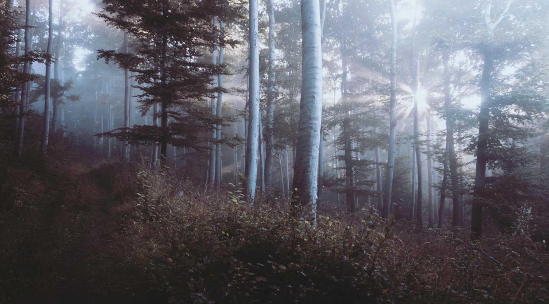 三网卡实名账号：实名账号对于网络环境的塑造作用。