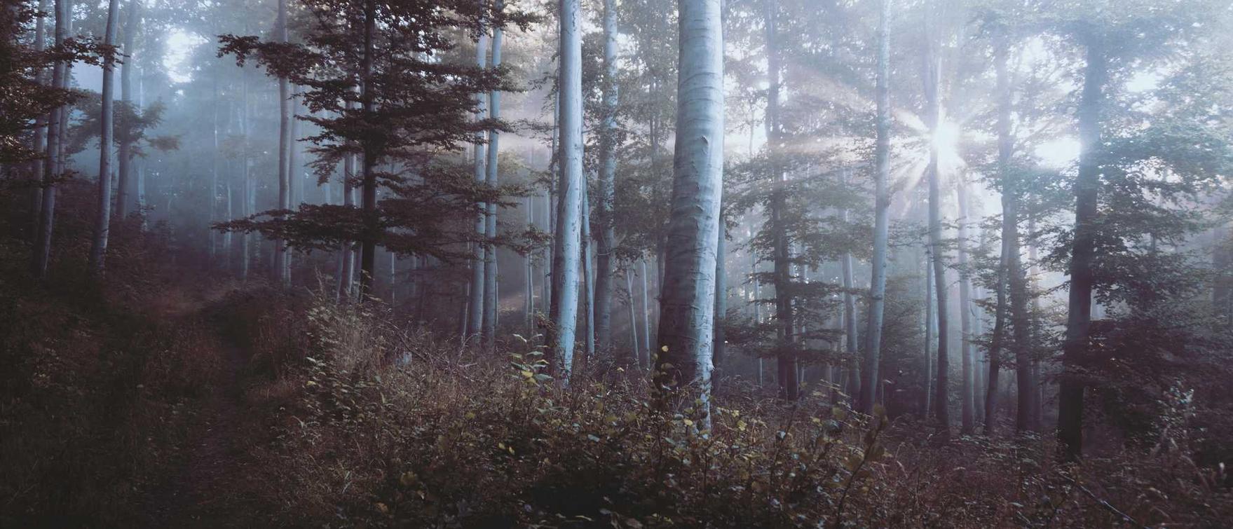 游戏公司和技术支持辅助厂商之间的法律斗争